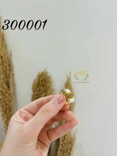 [300001] 300001 خاتم صدف استانلس عيار316