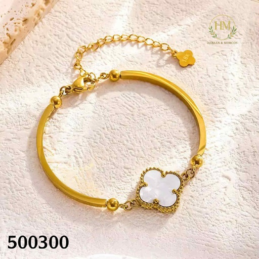 [500300] 500300انسيال  فان ابيض استانلس عيار 316