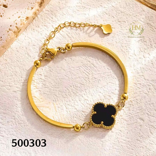 [500303] 500303انسيال فان اسوداستانلس عيار 316